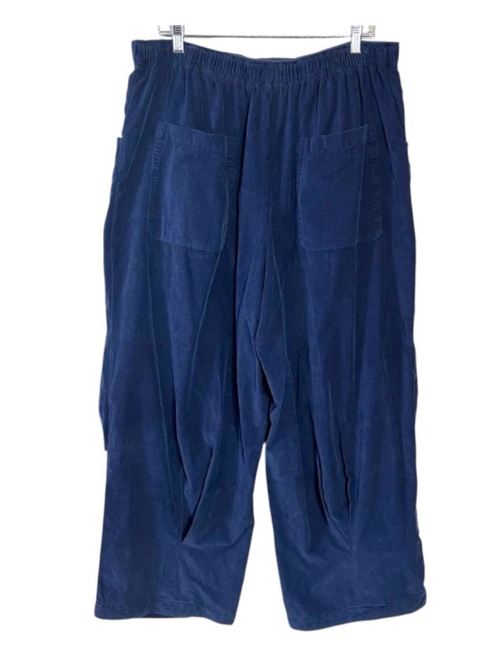 NWT Free People We The Free Nice Choice LIGHTWEIGHT Corduroy Pull-on Pant XS-S - Picture 4 of 9